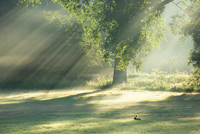 BUITEN BEELD Foto: 382590