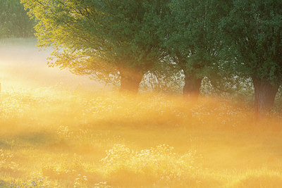 BUITEN BEELD Foto: 382612