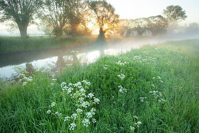 BUITEN BEELD Foto: 382647