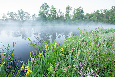 BUITEN BEELD Foto: 382650