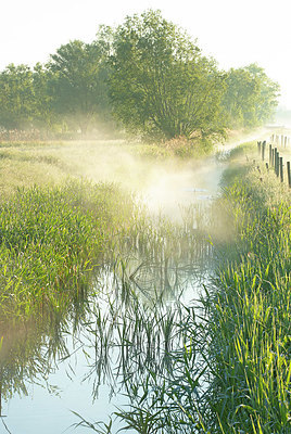 BUITEN BEELD Foto: 382651