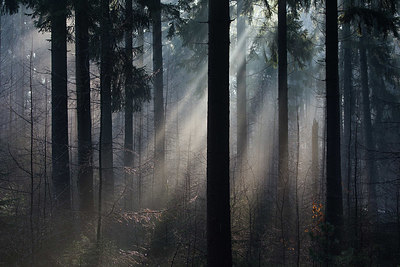 BUITEN BEELD Foto: 382734