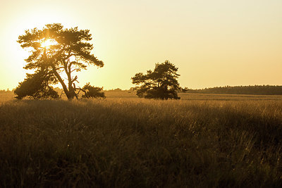 BUITEN BEELD Foto: 382736