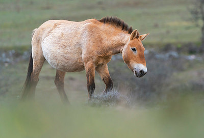 BUITEN BEELD Foto: 382828