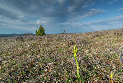 BUITEN BEELD Foto: 382898