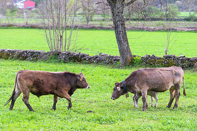 BUITEN BEELD Foto: 383114