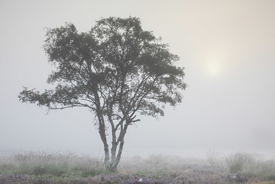 BUITEN BEELD Foto: 383168