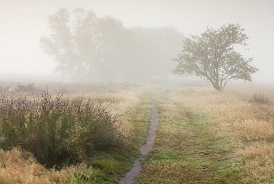 BUITEN BEELD Foto: 383175