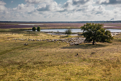BUITEN BEELD Foto: 383183