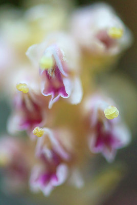 BUITEN BEELD Foto: 383228