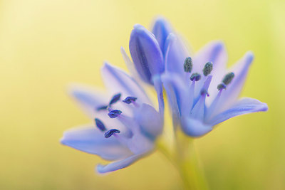 BUITEN BEELD Foto: 383270