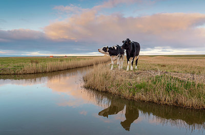 BUITEN BEELD Foto: 383481