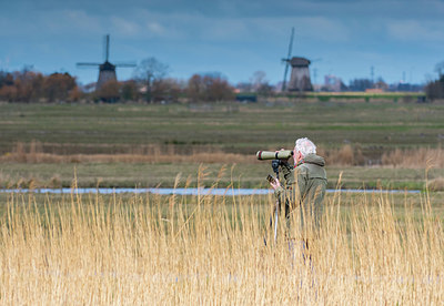 BUITEN BEELD Foto: 383518