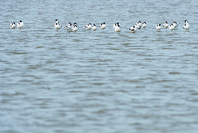 BUITEN BEELD Foto: 383644