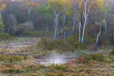 BUITEN BEELD Foto: 383714
