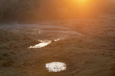 BUITEN BEELD Foto: 383715