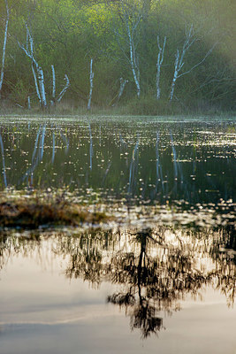 BUITEN BEELD Foto: 383717
