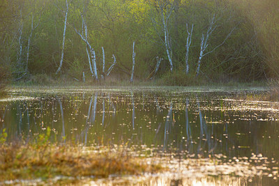 BUITEN BEELD Foto: 383718