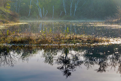 BUITEN BEELD Foto: 383719