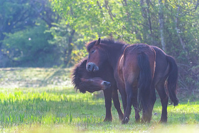 BUITEN BEELD Foto: 383899