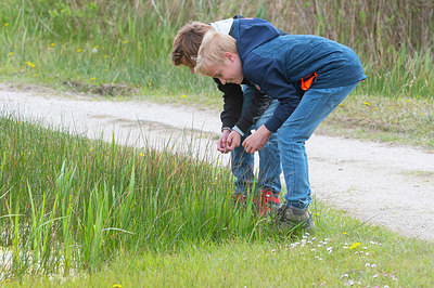 BUITEN BEELD Foto: 383981