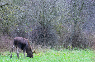 BUITEN BEELD Foto: 384068