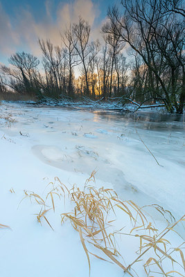 BUITEN BEELD Foto: 384285