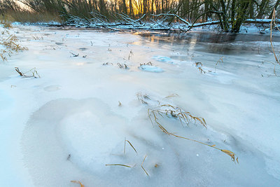 BUITEN BEELD Foto: 384287