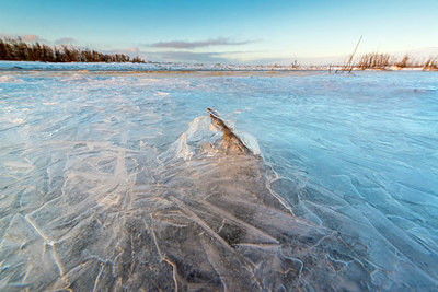 BUITEN BEELD Foto: 384288