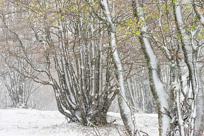 BUITEN BEELD Foto: 384631