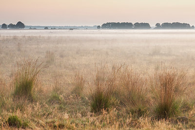 BUITEN BEELD Foto: 384669