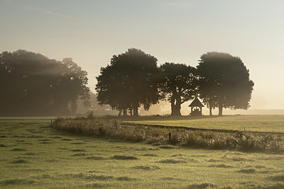 BUITEN BEELD Foto: 384678