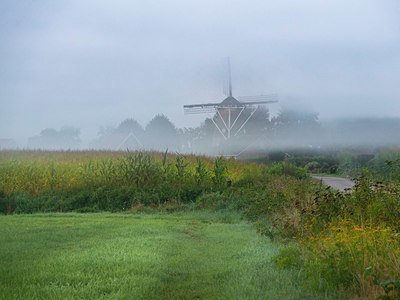 BUITEN BEELD Foto: 384679