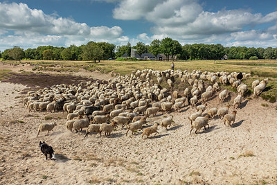 BUITEN BEELD Foto: 384704