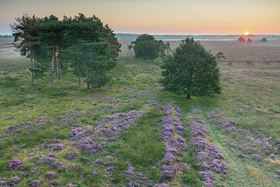 BUITEN BEELD Foto: 384810