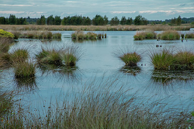 BUITEN BEELD Foto: 384817