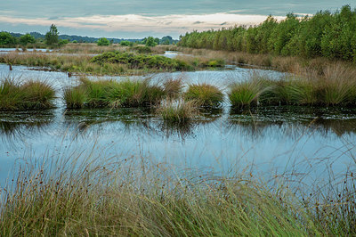 BUITEN BEELD Foto: 384818