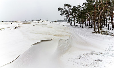 BUITEN BEELD Foto: 384827