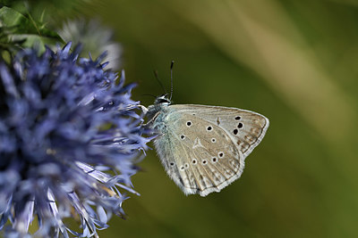 BUITEN BEELD Foto: 384991