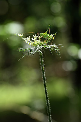 BUITEN BEELD Foto: 385260