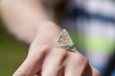 BUITEN BEELD Foto: 385286