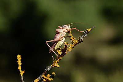 BUITEN BEELD Foto: 385380