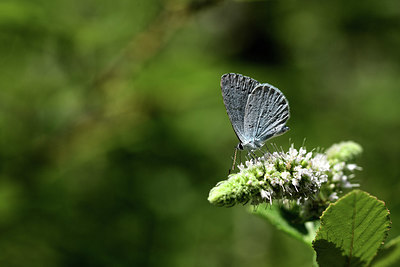 BUITEN BEELD Foto: 385441