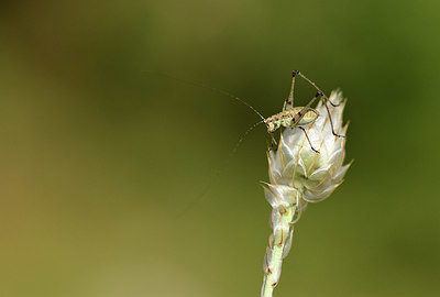 BUITEN BEELD Foto: 385549