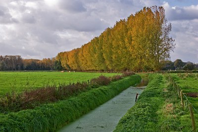 BUITEN BEELD Foto: 38117