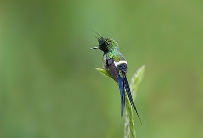 BUITEN BEELD Foto: 38181