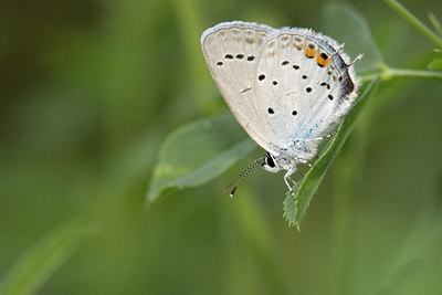 BUITEN BEELD Foto: 38338