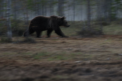 BUITEN BEELD Foto: 38364
