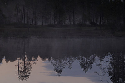 BUITEN BEELD Foto: 38369