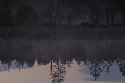 BUITEN BEELD Foto: 38370